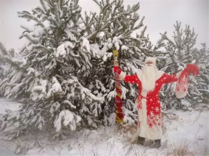 Услуга Поздравление Деда мороза и снегурочки Брест