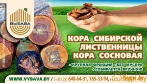 Кора сибирской лиственницы