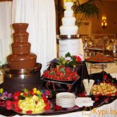 Шоколадный фонтан на ваш праздник