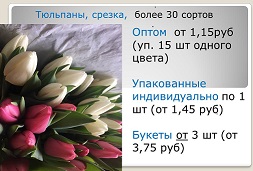 Цветы весенние для организаций к 8 марта